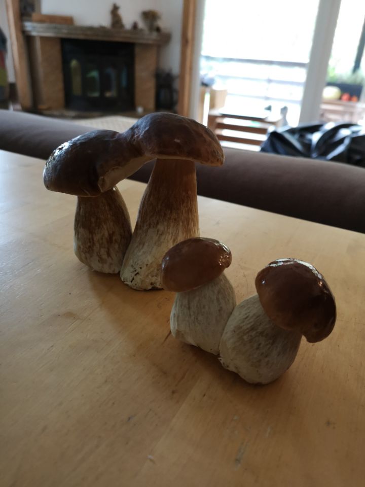 dom wolnostojący, 5 pokoi Nowy Wiec. Zdjęcie 9