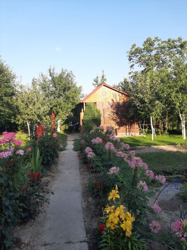 Działka rod Lublin. Zdjęcie 1