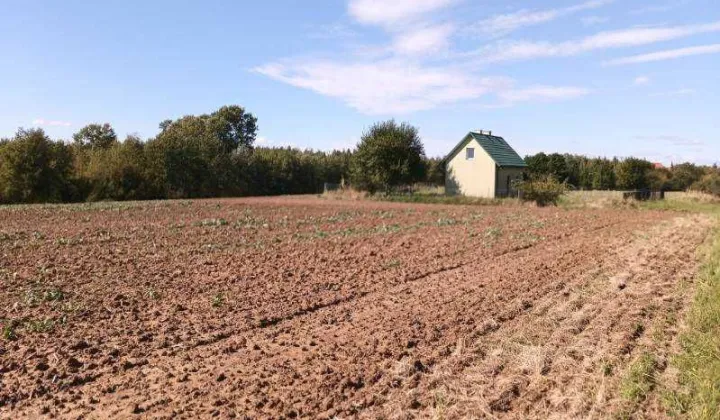 Działka rolno-budowlana Szewna