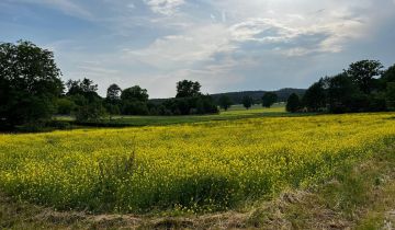 Działka budowlana Mienice, ul. Miodowa