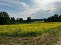 Działka budowlana Mienice, ul. Miodowa