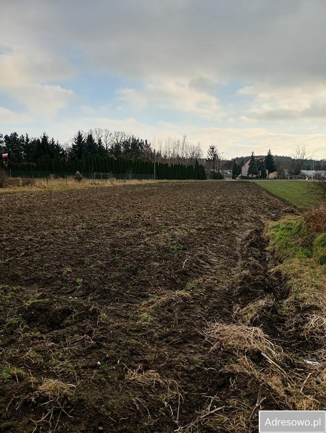 Działka budowlana Chomiąża. Zdjęcie 2