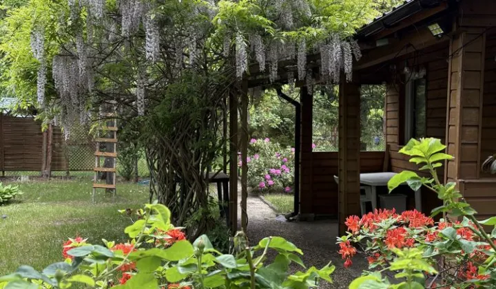 Działka rod Warszawa Bielany, ul. Księżycowa