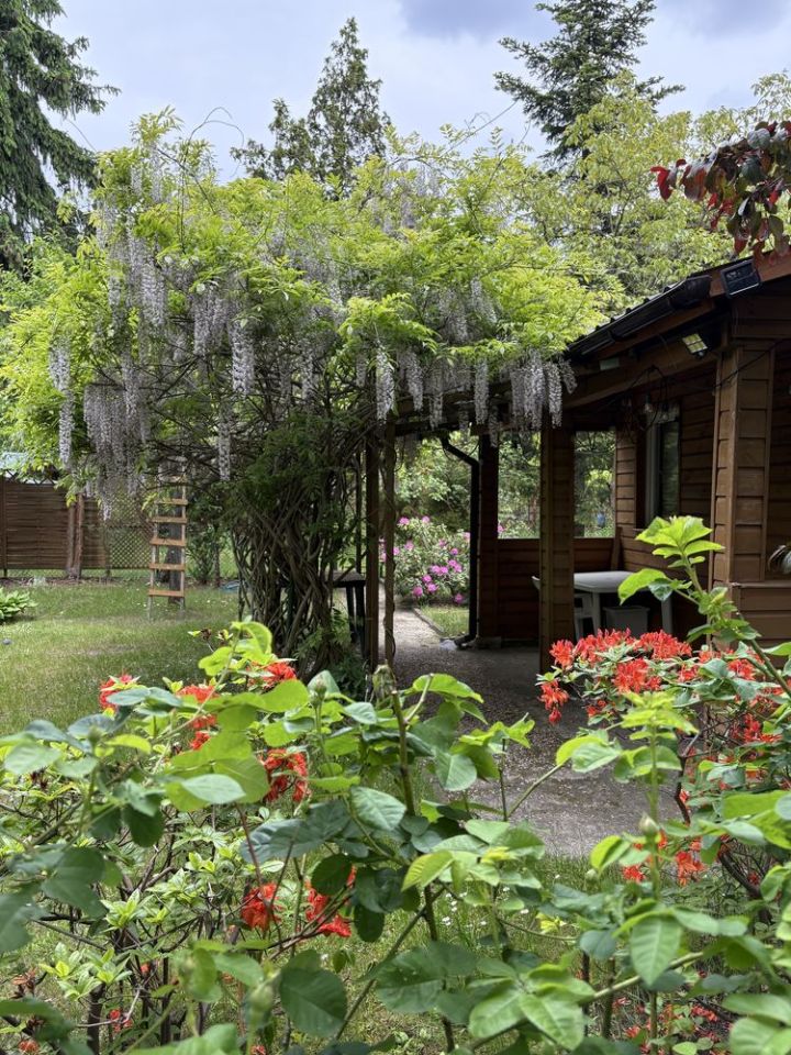 Działka rod Warszawa Bielany, ul. Księżycowa