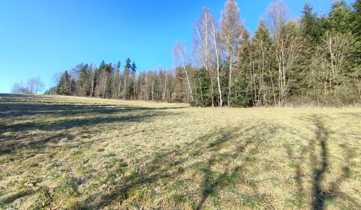 Działka budowlana Tokarnia