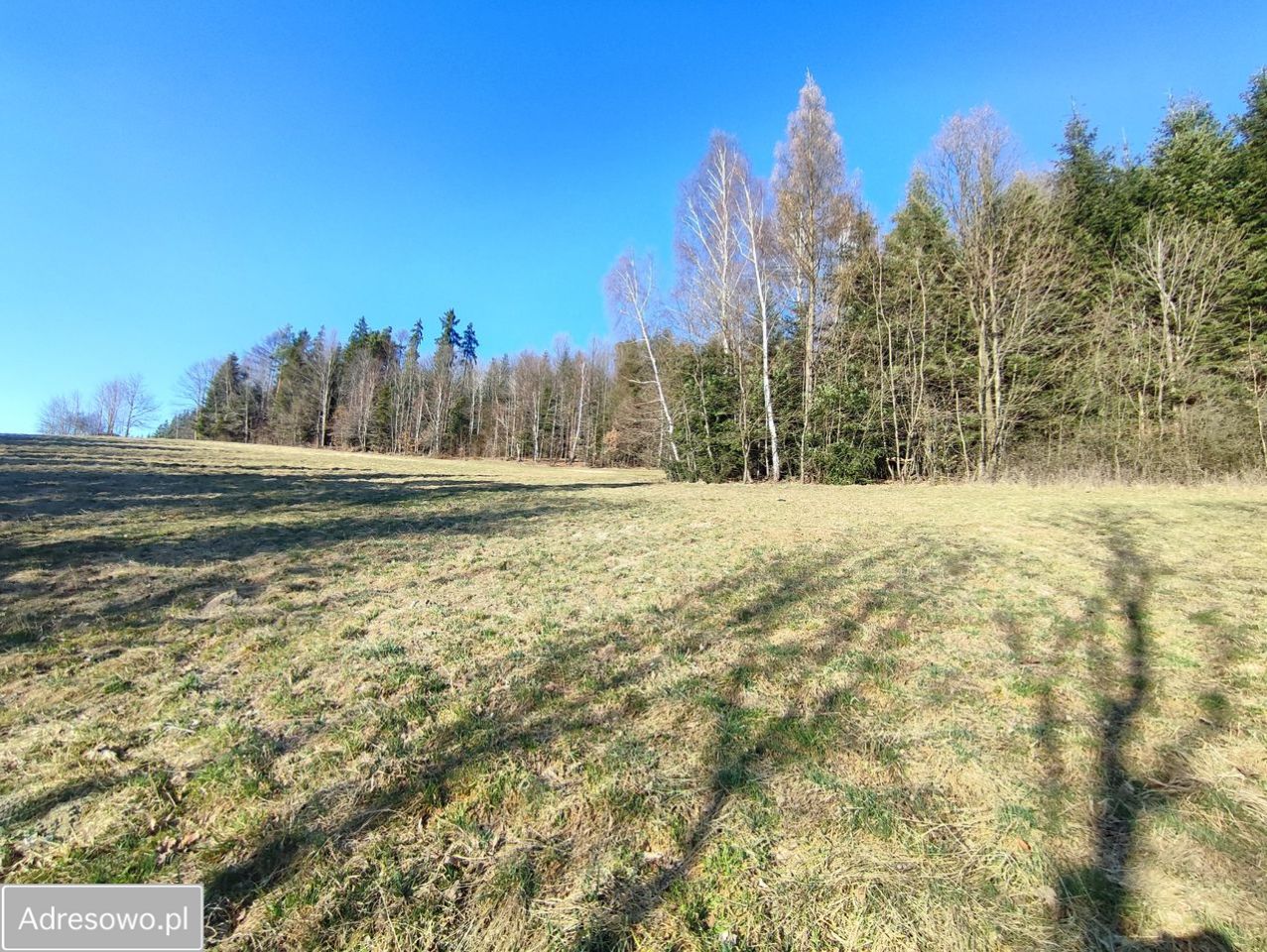 Działka budowlana Tokarnia. Zdjęcie 1