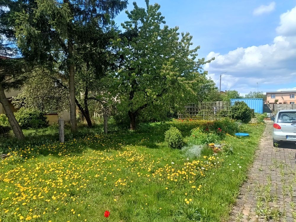 Działka budowlana Chojnice. Zdjęcie 3