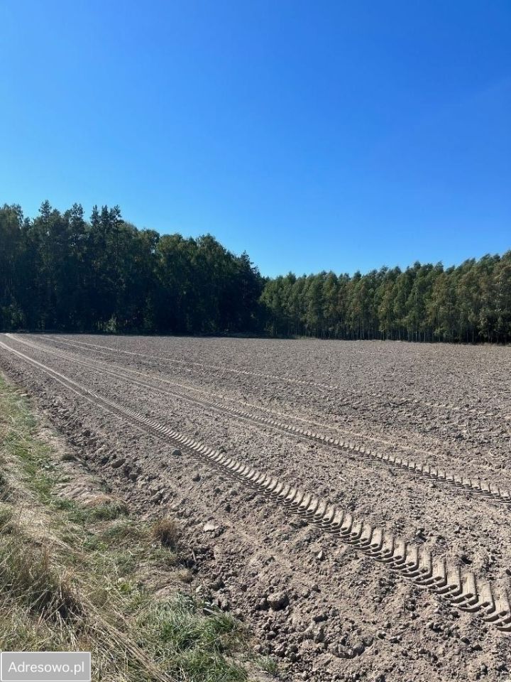 Działka rolna Ciechanowiec Ciechanowczyk. Zdjęcie 3