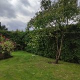 Działka rod Przyborowice Górne. Zdjęcie 2