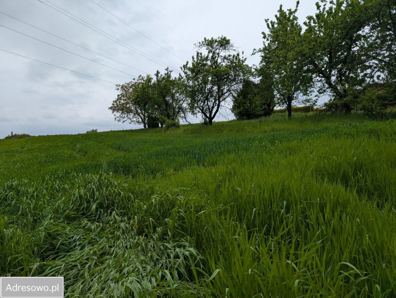 Działka rolna Mazańcowice