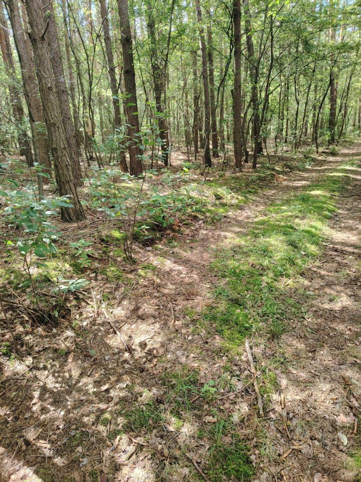 Działka rekreacyjna Przeradowo. Zdjęcie 3