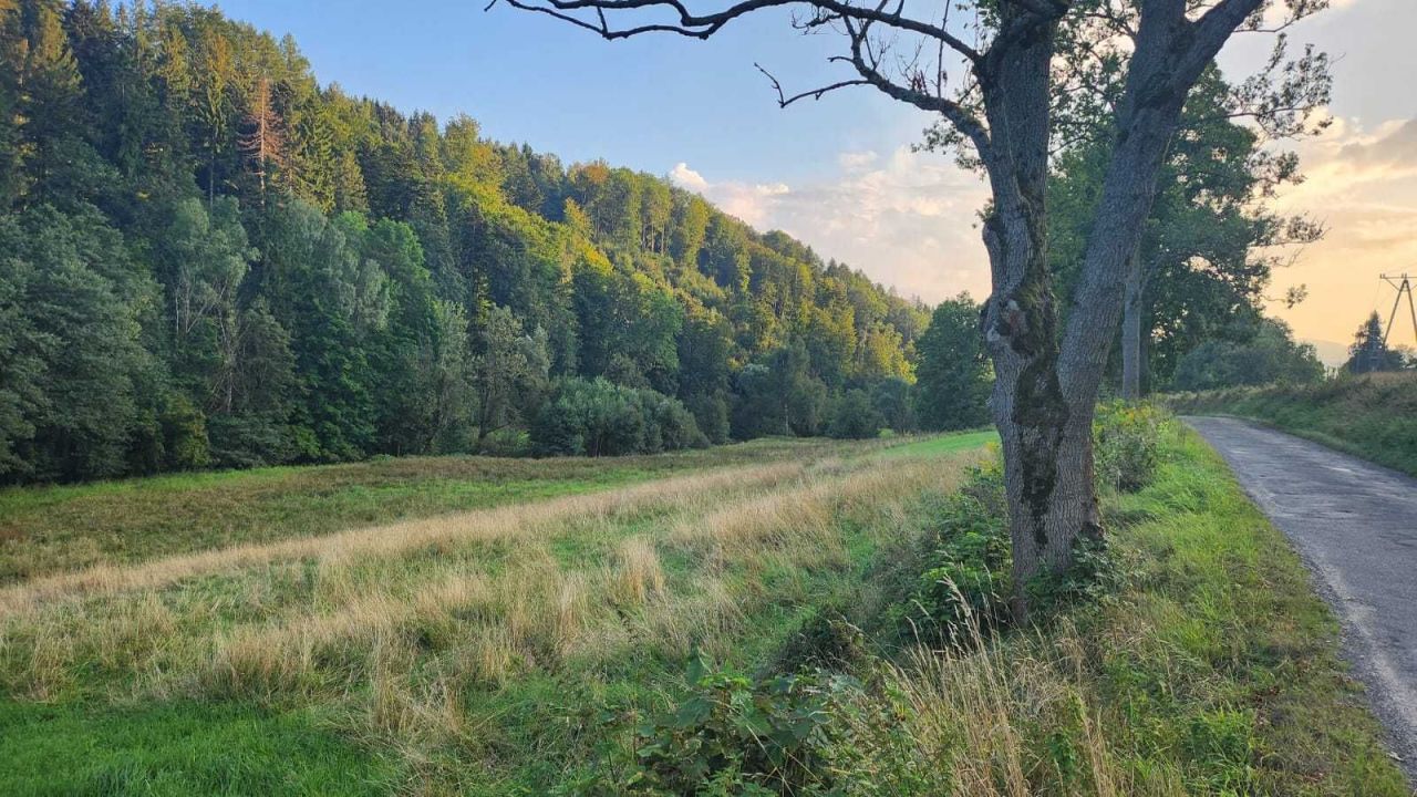 Działka inwestycyjna Lutynia. Zdjęcie 4