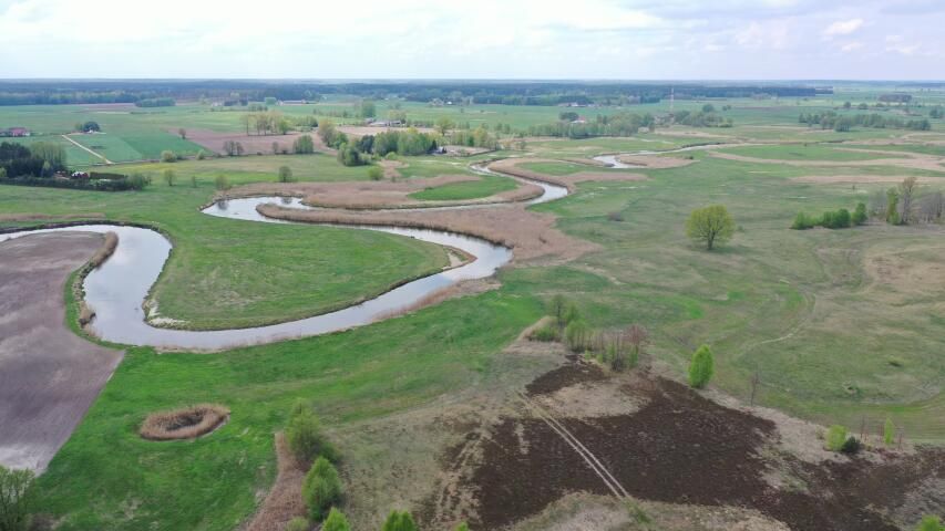 Działka rolno-budowlana Cieciory. Zdjęcie 10