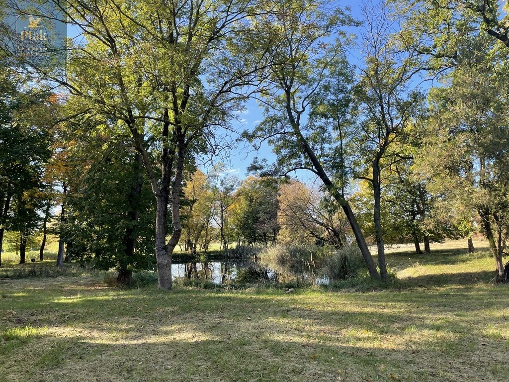 dworek, 20 pokoi Bojanowo. Zdjęcie 18