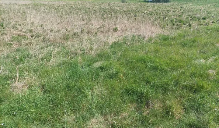 Działka rolna Sąpolno