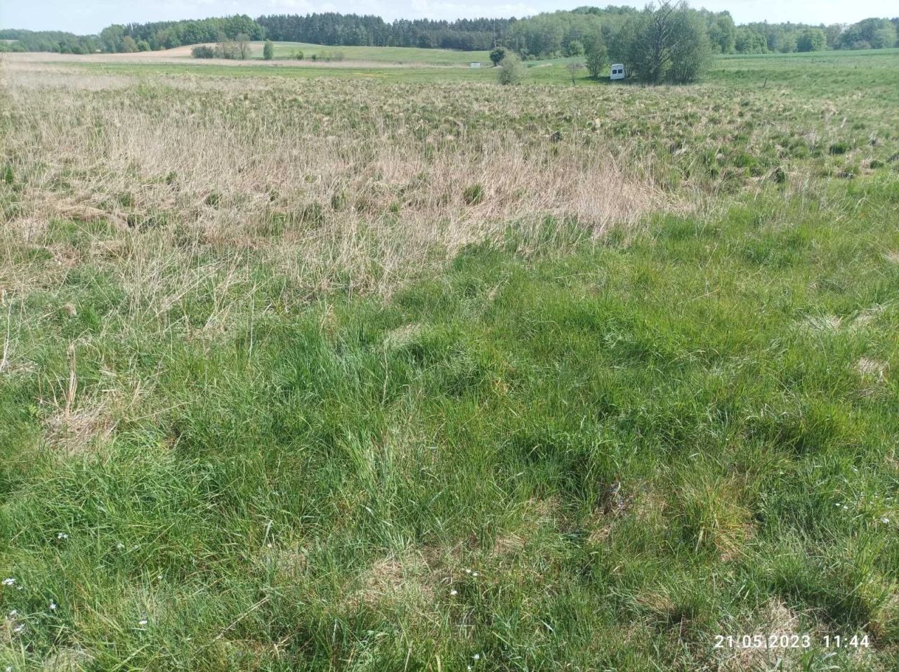 Działka rolna Sąpolno. Zdjęcie 1