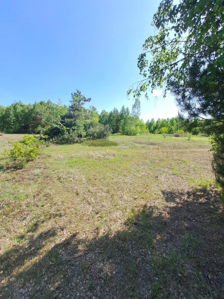 Działka rolno-budowlana Kochanów. Zdjęcie 4