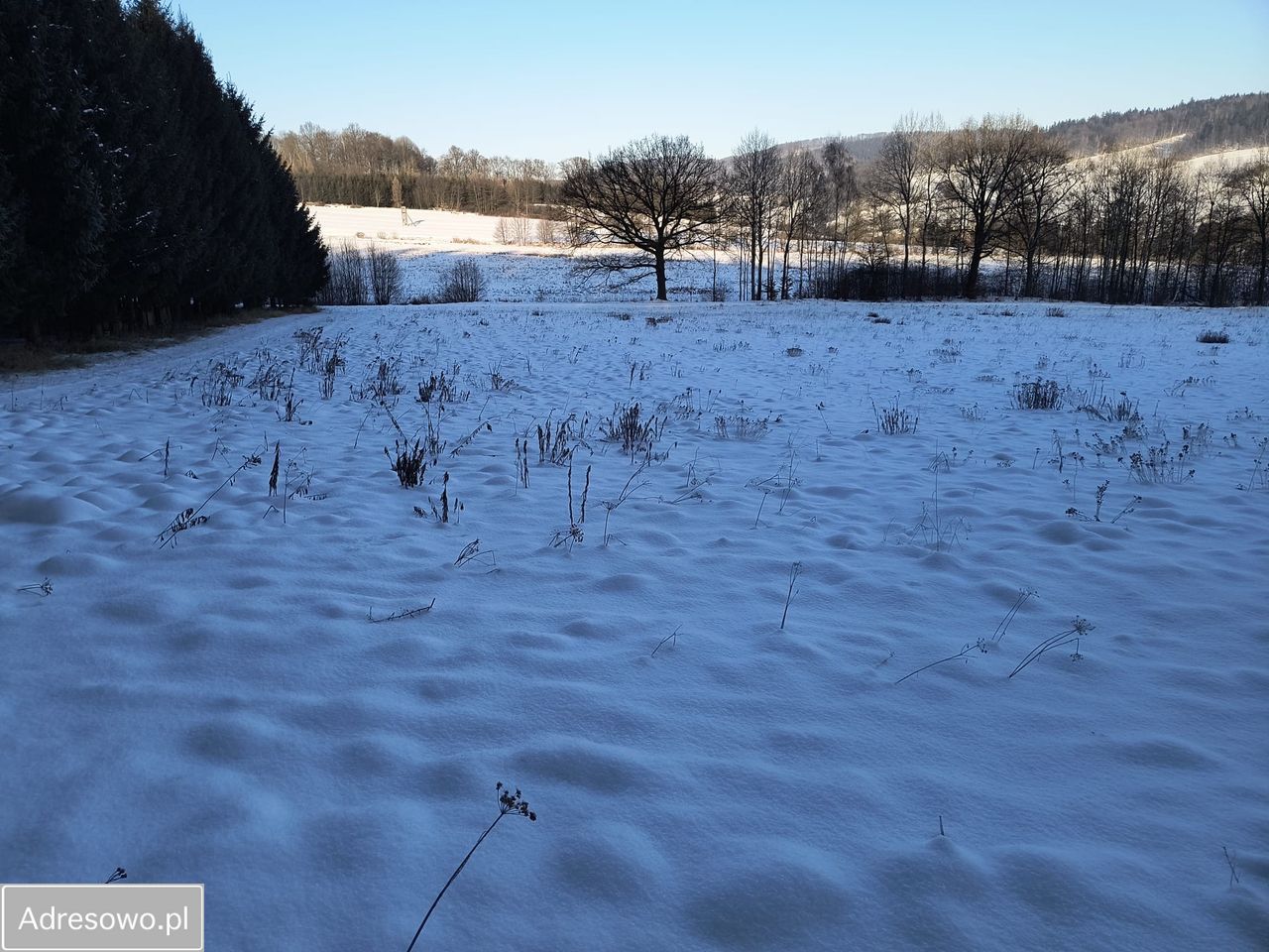 Działka rolna Świdnik. Zdjęcie 7