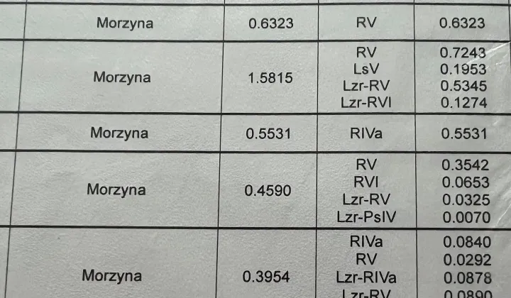 Działka rolna Morzyna