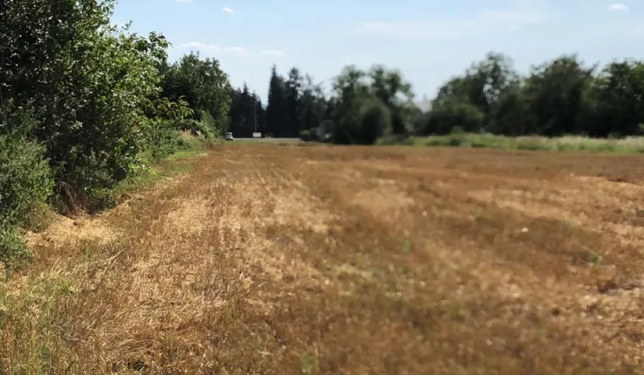 Działka budowlana Zamość, ul. Lwowska