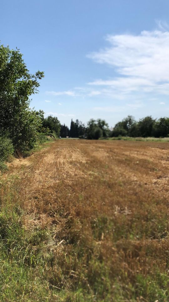 Działka budowlana Zamość, ul. Lwowska. Zdjęcie 1