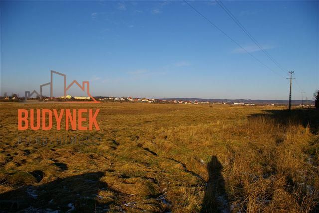 Działka budowlana Koszalin Raduszka, ul. Sasanek. Zdjęcie 8