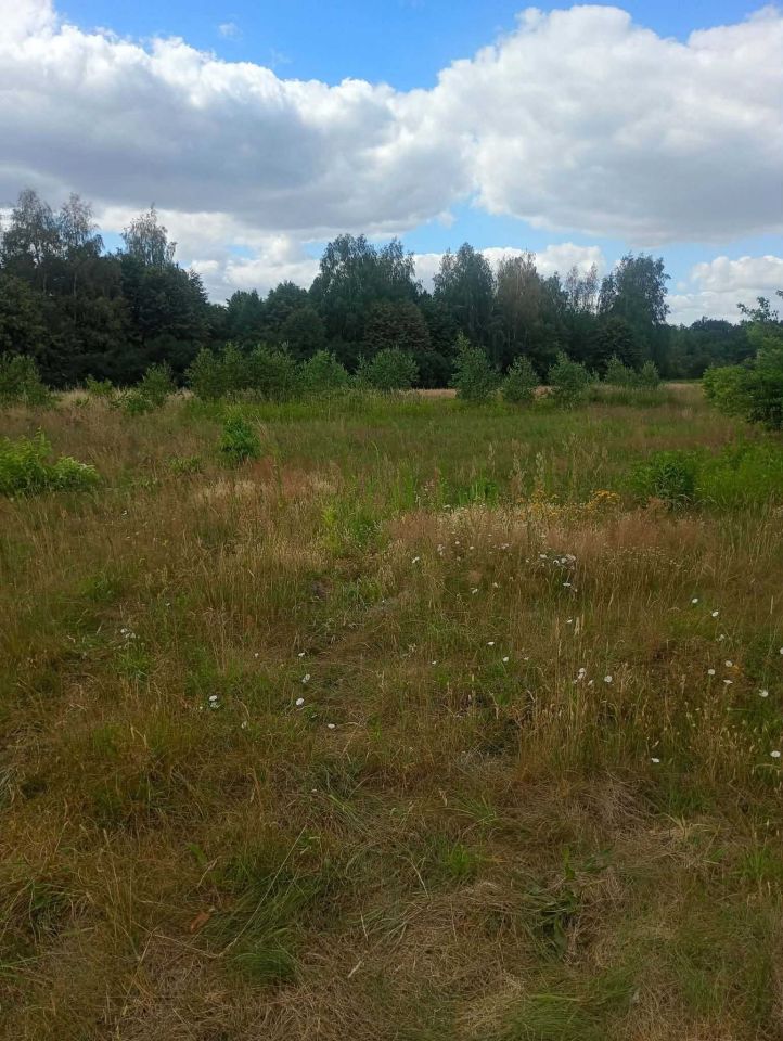 Działka budowlana Jesionka, ul. Liliowa. Zdjęcie 3