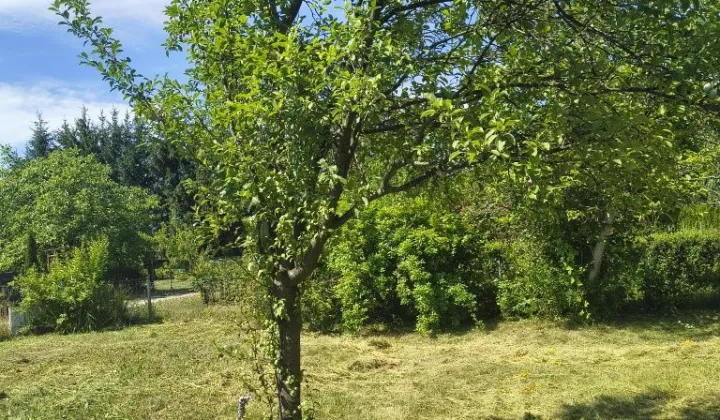 Działka rod Radom