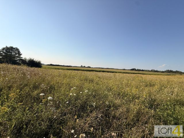 Działka rolna Mędrzechów. Zdjęcie 3