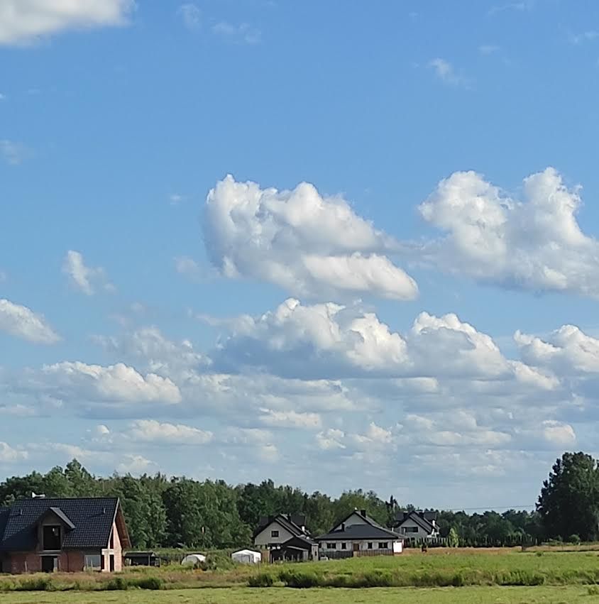Działka budowlana Cholewy. Zdjęcie 4