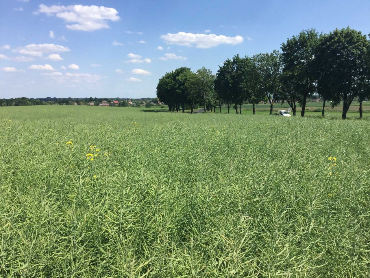 Działka inwestycyjna Dobrzejowice. Zdjęcie 4