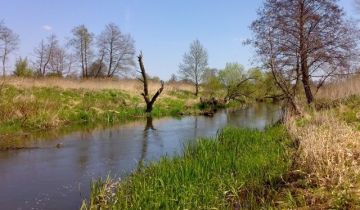 Działka rolna Chotcza Górna