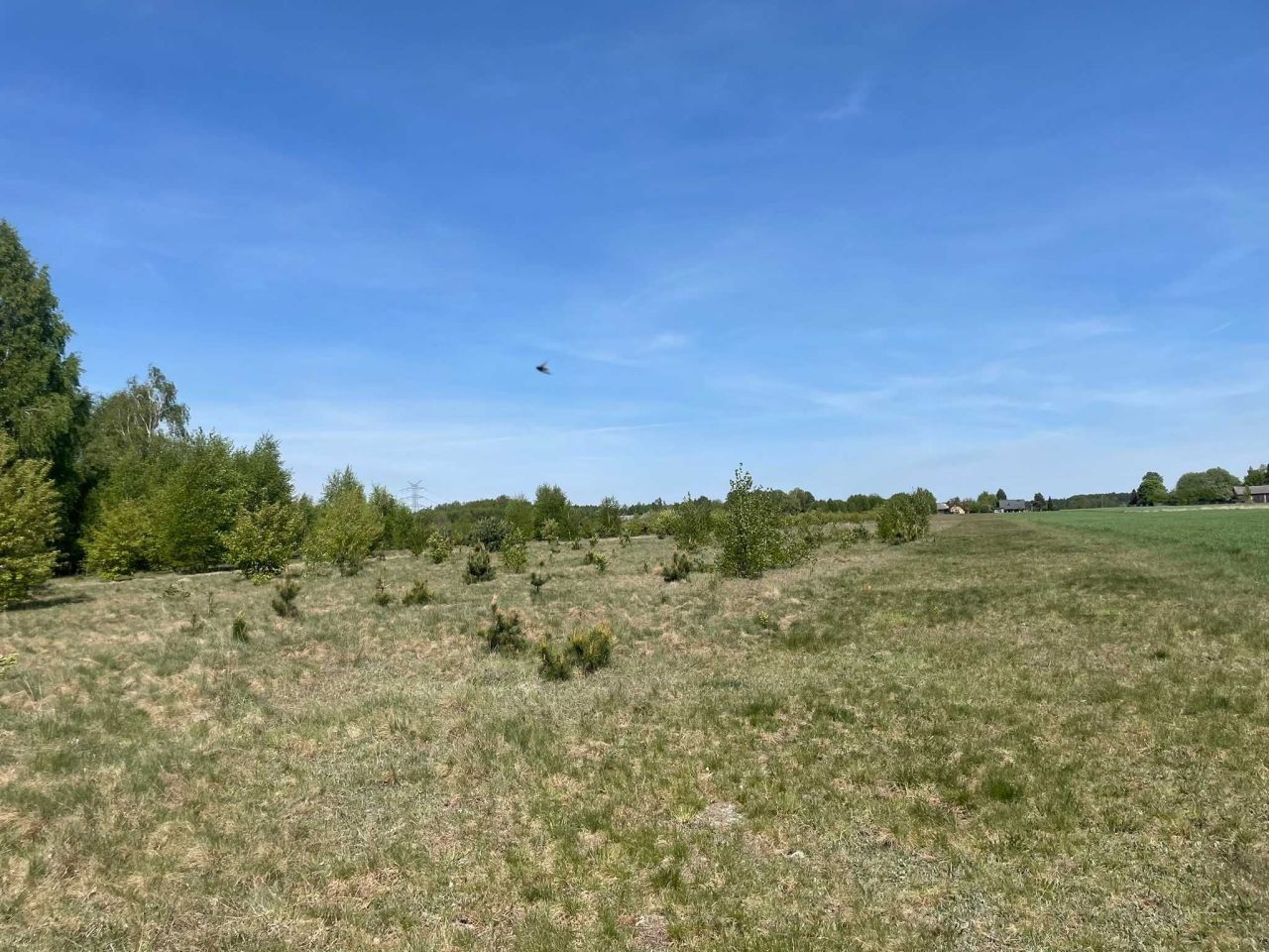 Działka budowlana Teresin