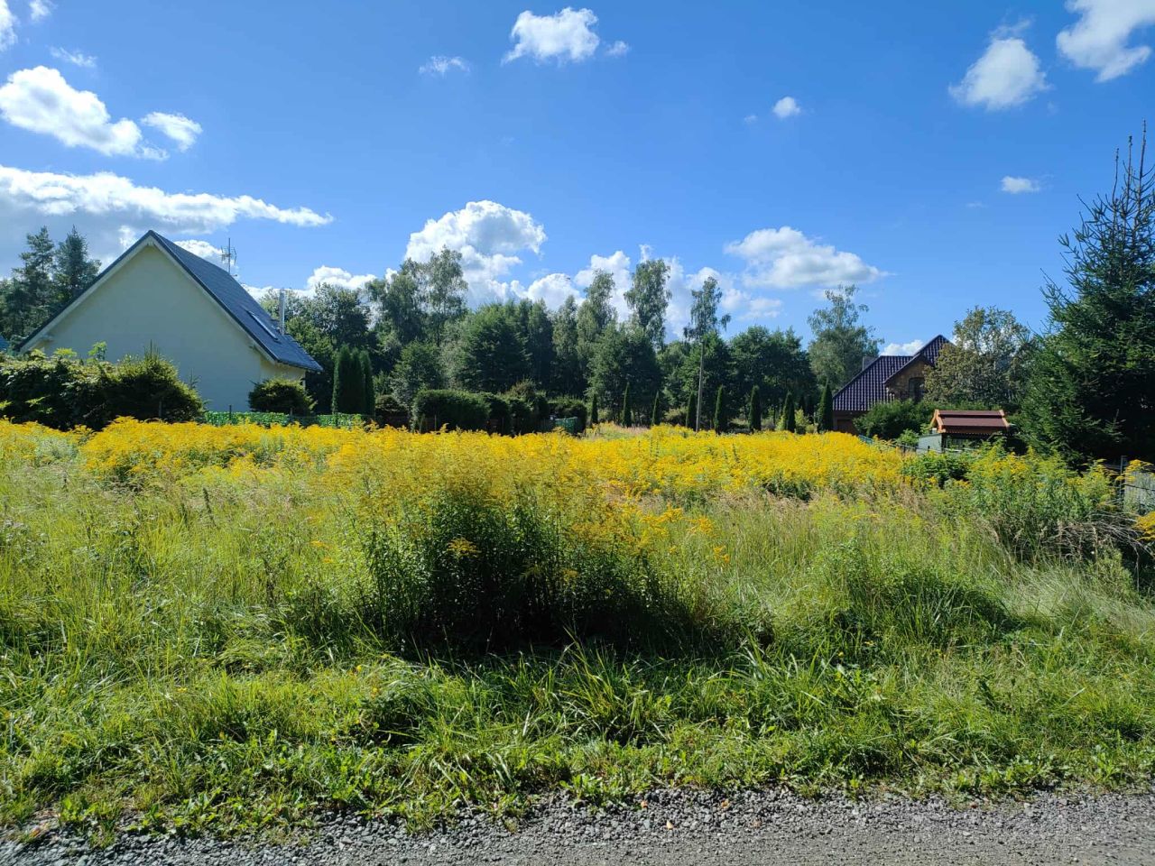 Działka budowlana Czarnogłowy, os. Nad Wodą. Zdjęcie 4