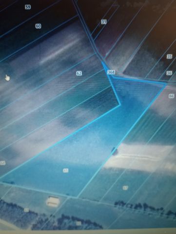 Działka rolna Strzałki. Zdjęcie 1