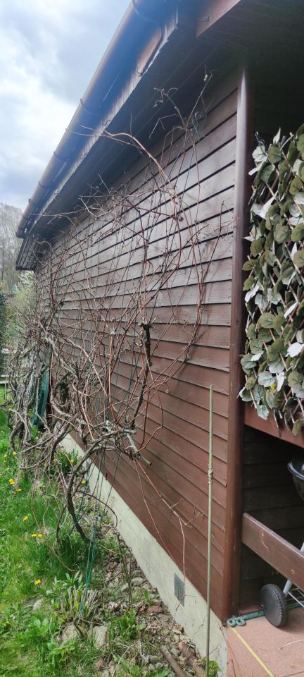 Działka rod Pabianice Piaski, ul. Jana Pawła II. Zdjęcie 4