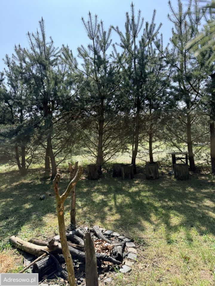 Działka budowlana Ostrów. Zdjęcie 6