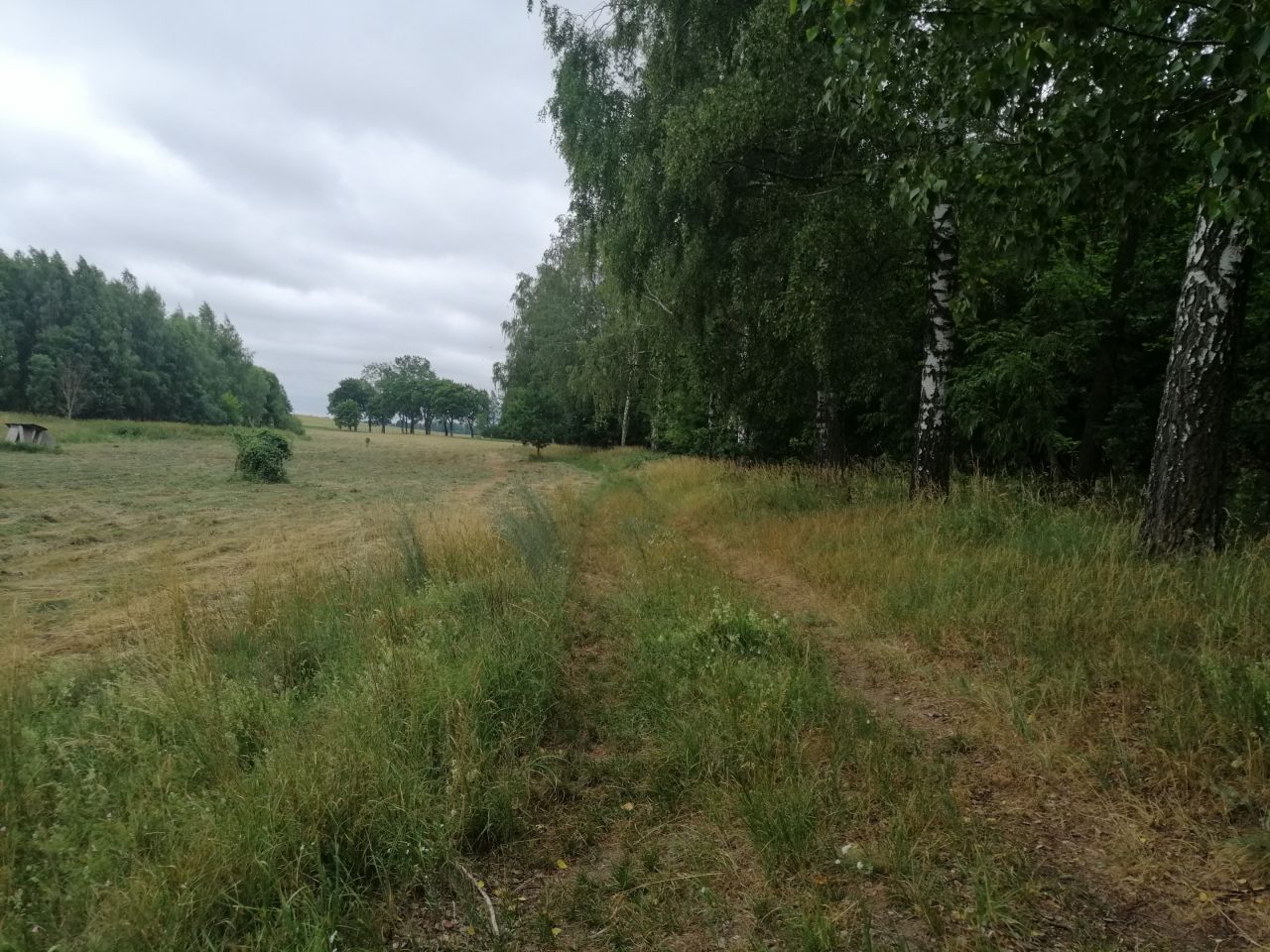 Działka rekreacyjna Szymonka. Zdjęcie 2