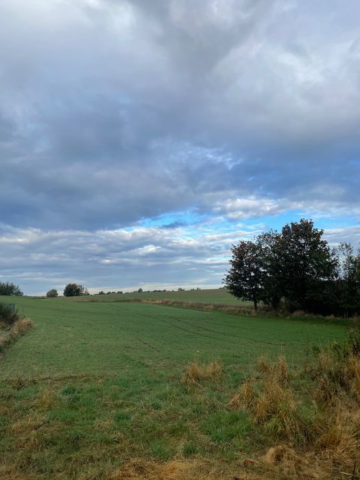 Działka rolno-budowlana Sąborze. Zdjęcie 5