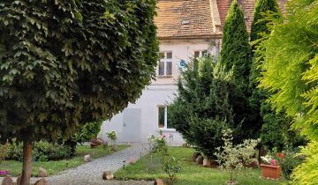 Lokal Wołów, ul. ks. Franciszka Bossaka