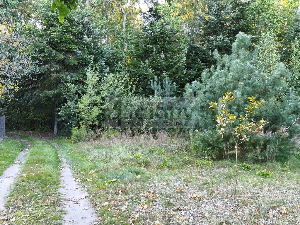 Działka budowlana Ojrzanów. Zdjęcie 7