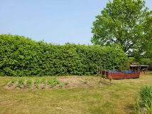 siedlisko Barkowo. Zdjęcie 4