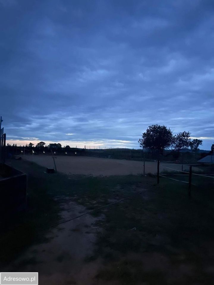 Nieruchomość komercyjna Osiek Łużycki. Zdjęcie 12