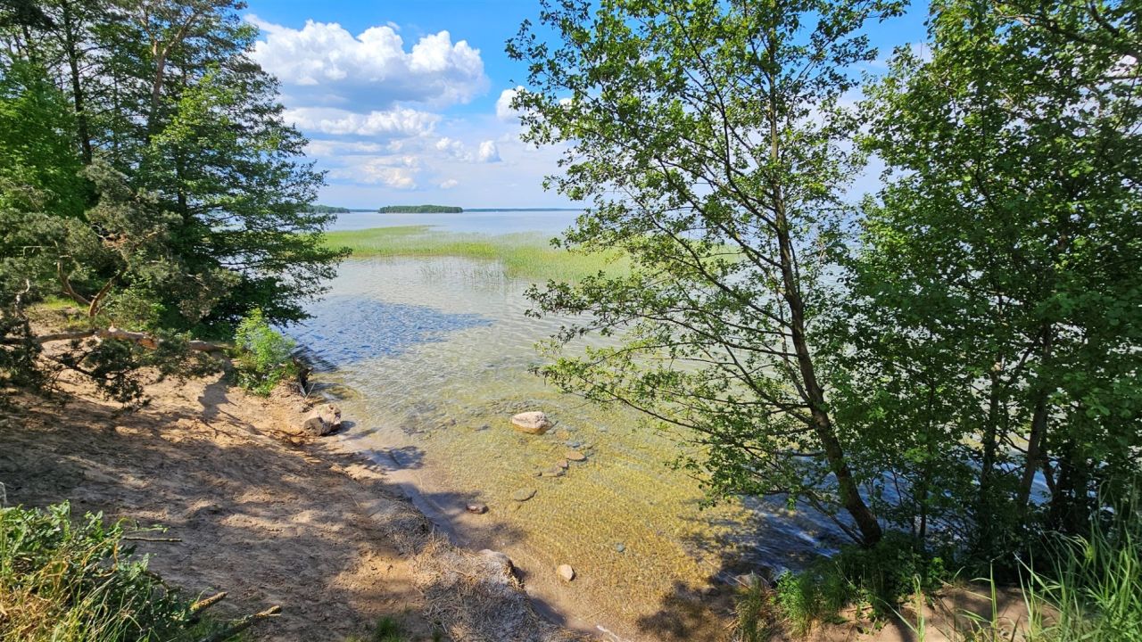 Działka rekreacyjna Zdory. Zdjęcie 15