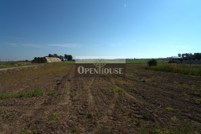 Działka budowlana Słone. Zdjęcie 1