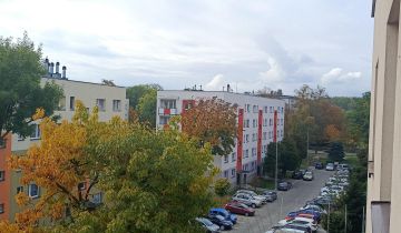 Mieszkanie 3-pokojowe Sosnowiec Niwka, ul. Konstytucji