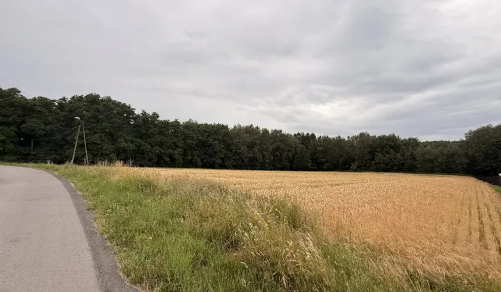 Działka rolno-budowlana Wojnicz