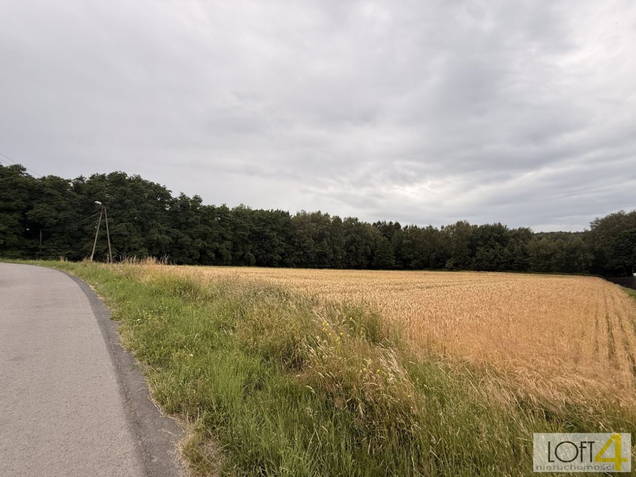 Działka rolno-budowlana Wojnicz. Zdjęcie 1