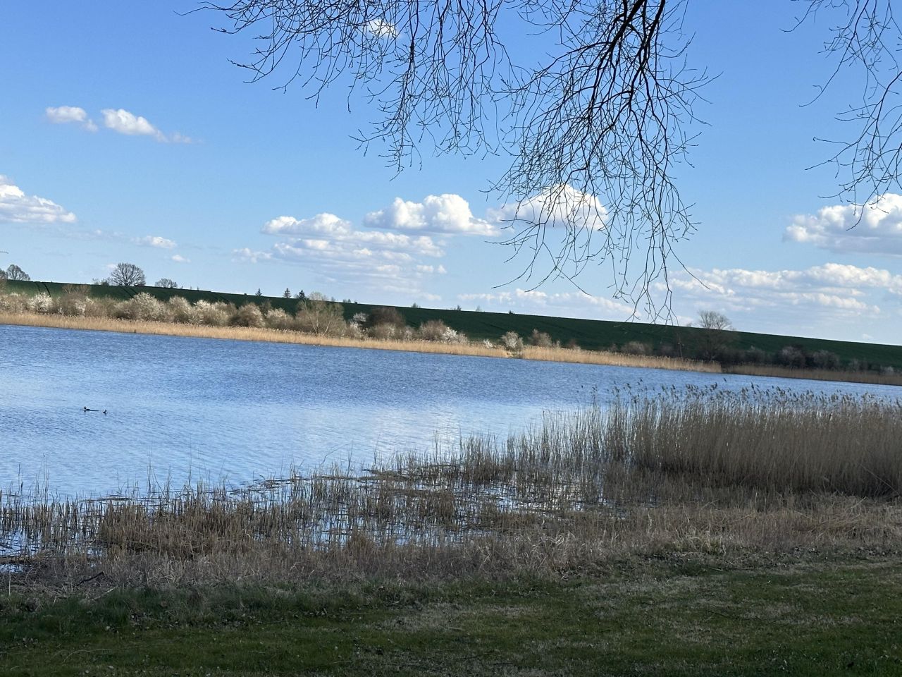 Działka budowlana Gorzuchowo, Makowa. Zdjęcie 3