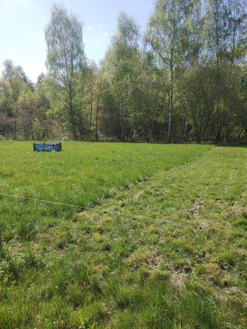 Działka budowlana Dąbrowa Górnicza Pogoria, ul. Brzozowa. Zdjęcie 1